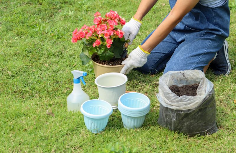 Garden Planting Service in Honolulu, HI