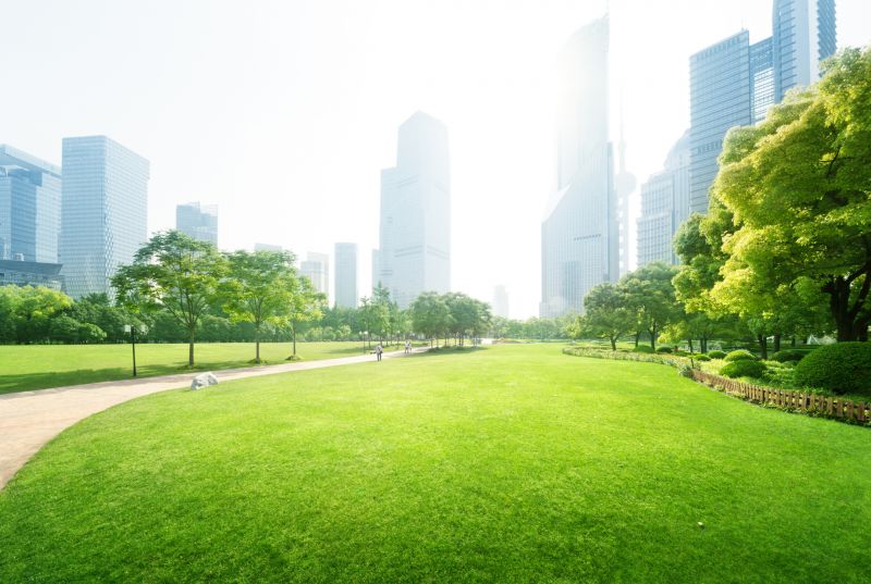 Park Landscaping in Honolulu, HI