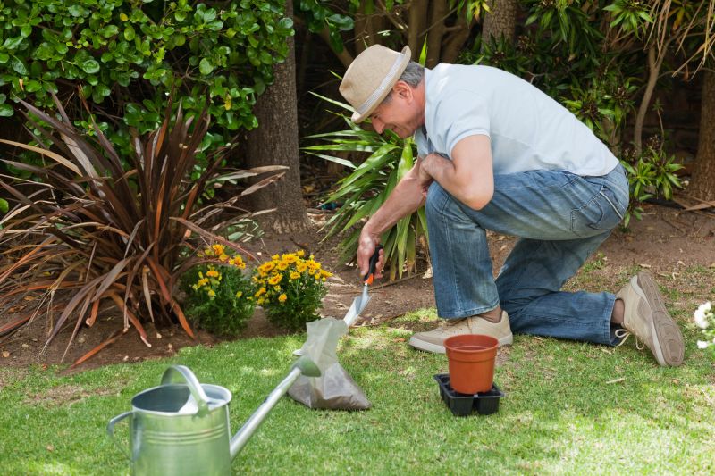 Products For Calla Lily Plantings in use