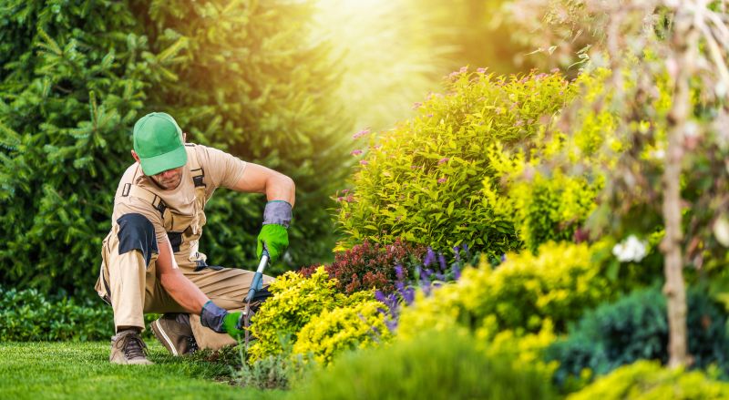 Garden Maintenance Services